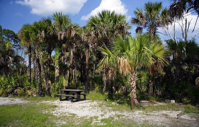 Everglades Day Safari from Miami - Key Points