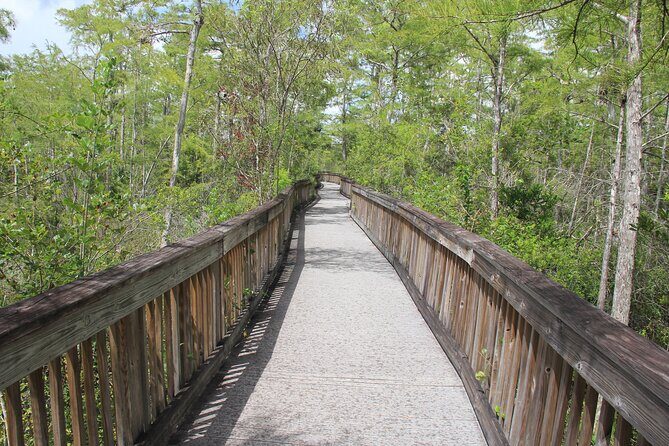 Everglades Day Safari from Miami - The Sum Up: Is This Tour Worth It?