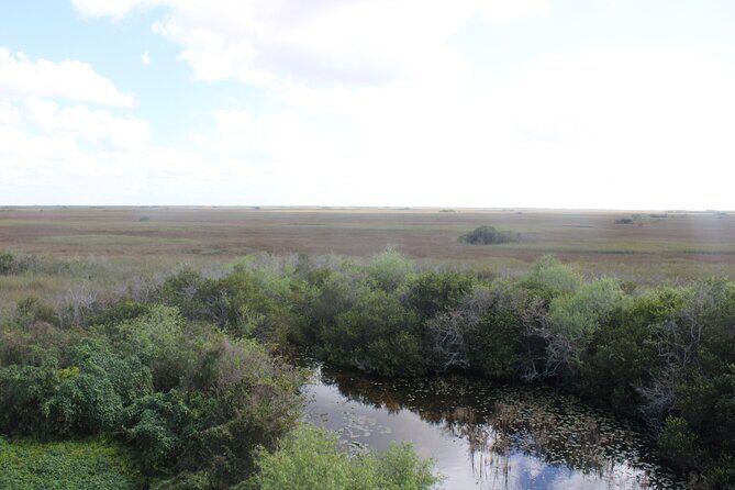 Everglades Eco Airboat Tour with Private Luxury Transportation - FAQ