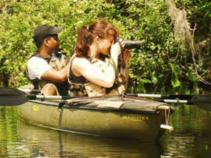 Everglades: Everglades Alligators and Orchids Kayak Eco Tour - FAQ