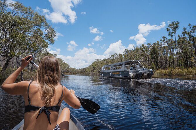 Everglades Explorer - Noosa Everglades Tour - The Itinerary: What You Can Expect