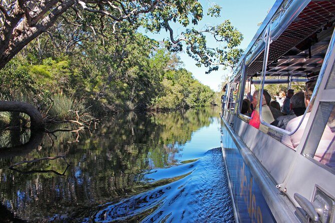 Everglades Explorer - Noosa Everglades Tour - Authentic Experiences From Travelers