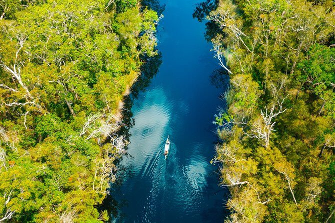Everglades Explorer - Noosa Everglades Tour - The Sum Up: Who Will Love the Noosa Everglades Explorer Tour?