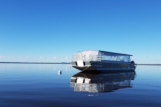 Everglades Explorer - Noosa Everglades Tour - FAQ: Your Questions Answered