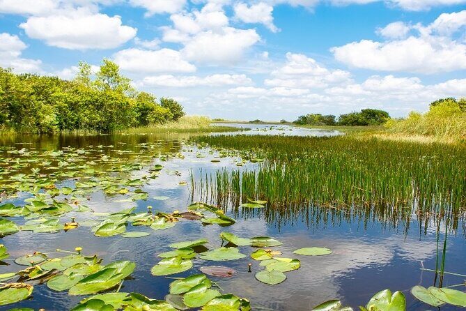 Everglades Express Small Group Tour from Miami with Airboat Ride - Who Should Consider This Tour