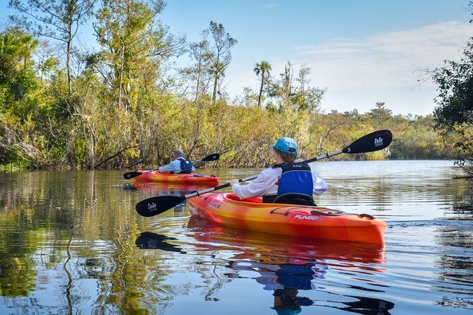 Everglades Guided Kayak Tour - Who Will Love This Tour?