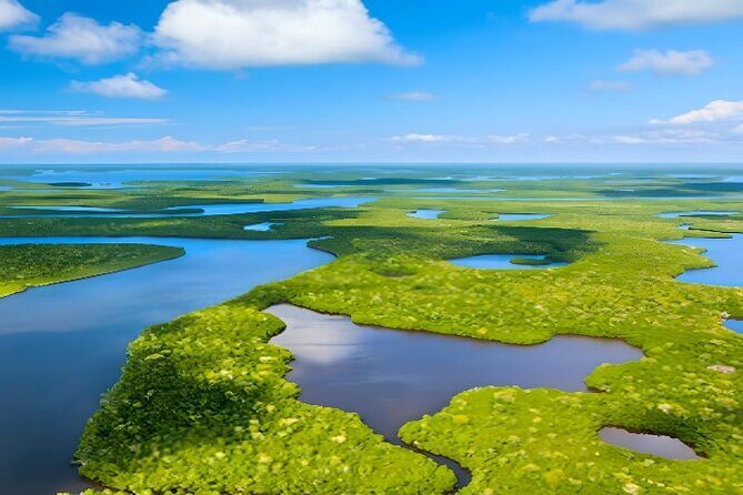 Everglades Immersion Tour: The Ultimate Everglades Adventure - Introduction