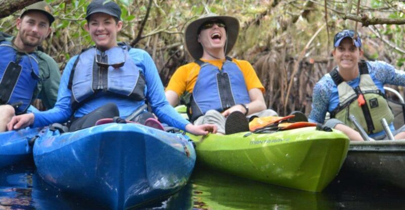 Everglades Kayak Safari Adventure Through Mangrove Tunnels - Introduction: A Quiet Adventure into the Everglades