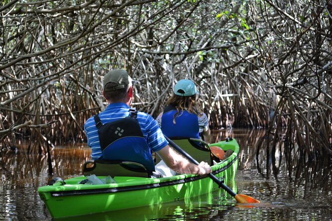 Everglades Kayak Safari Adventure Through Mangrove Tunnels - What’s Included and What to Bring