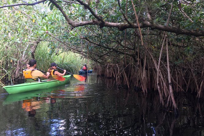 Everglades Kayak Safari Adventure Through Mangrove Tunnels - Guide Quality and Personalization