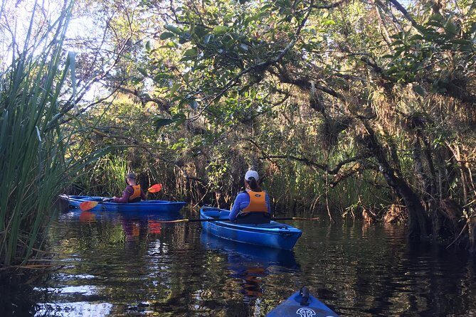 Everglades Kayak Safari Adventure Through Mangrove Tunnels - The Value Proposition