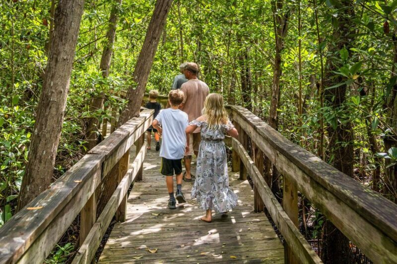 Everglades: Mangrove Maze Airboat Tour and Boardwalk - Who Will Love This Tour?