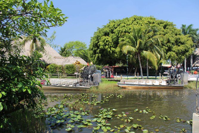 Everglades & Miami city tour with experienced guide in small group - Why Travelers Love This Tour