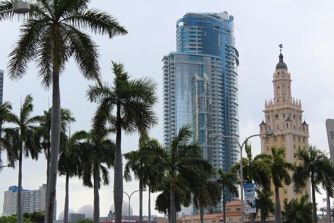 Everglades & Miami city tour with experienced guide in small group - The Sum Up: Is This Tour Right for You?