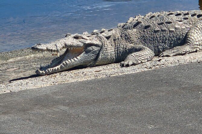 Everglades National Park: 3 Hikes + 90 minute Boat Tour + Lunch - Exploring the Itinerary: What You Can Expect