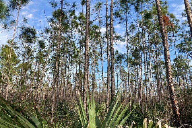Everglades National Park: 3 Hikes + 90 minute Boat Tour + Lunch - FAQs