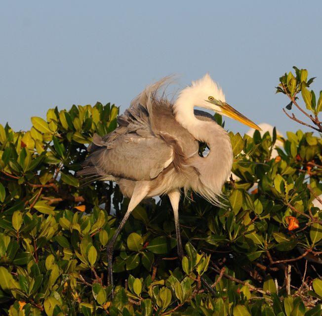 Everglades National Park 3-Hour Kayak Eco Tour - An In-Depth Look at the Everglades Kayak Eco Tour