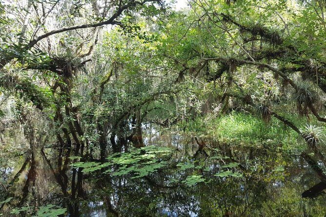 Everglades National Park Biologist Led Adventure: Cruise, Hike + Airboat - Analyzing the Experience: Value, Comfort, and Wildlife Wonder