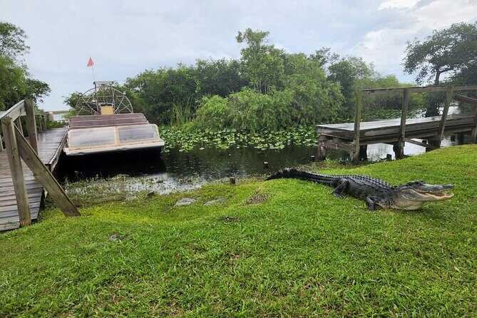 Everglades National Park Biologist Led Adventure: Cruise, Hike + Airboat - Final Thoughts
