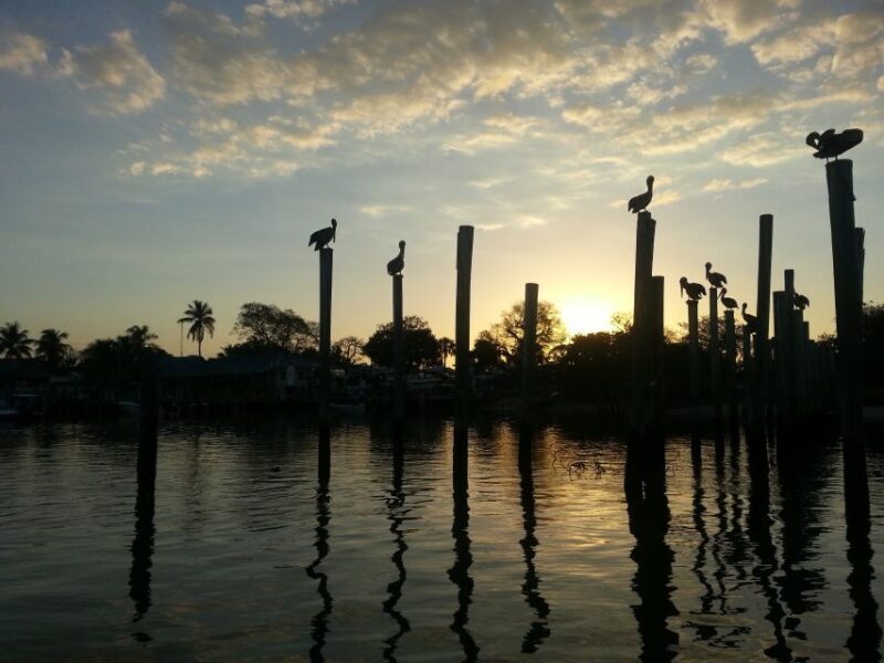 Everglades National Park: Motorboat Eco Tour - An In-Depth Look at the Everglades Motorboat Eco Tour