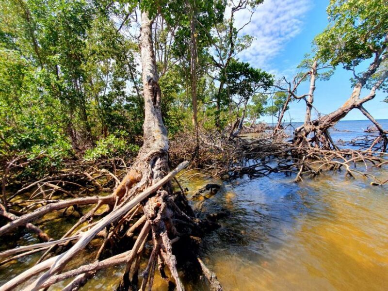 Everglades National Park: Motorboat Eco Tour - FAQ