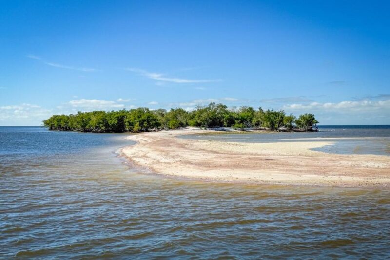 Everglades National Park: Pontoon Boat Tour & Boardwalk - Reviews and traveler impressions