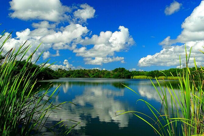 Everglades National Park Self-Guided Audio Tour - FAQs