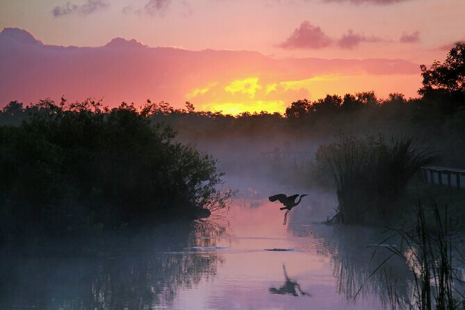 Everglades National Park Self Guided Driving Audio Tour - What Travelers Are Saying