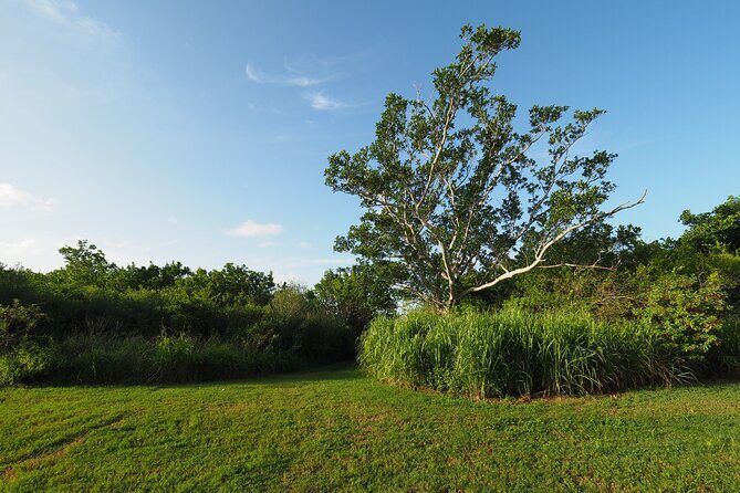 Everglades National Park Self Guided Driving Audio Tour - The Sum Up