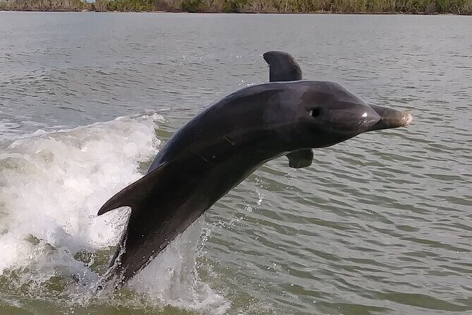 Everglades Small Group Guided Boating and Walking Expedition - Who Will Love This Tour?