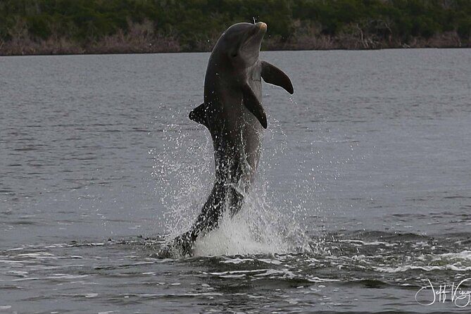 Everglades Small Group Guided Boating and Walking Expedition - In The Sum Up: Who Is This Tour Perfect For?