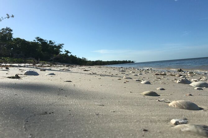 Everglades Small Group Guided Boating and Walking Expedition - FAQ