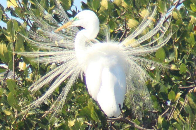 Everglades Small Group Guided Boating & Walking Tour Expedition - Value for Money