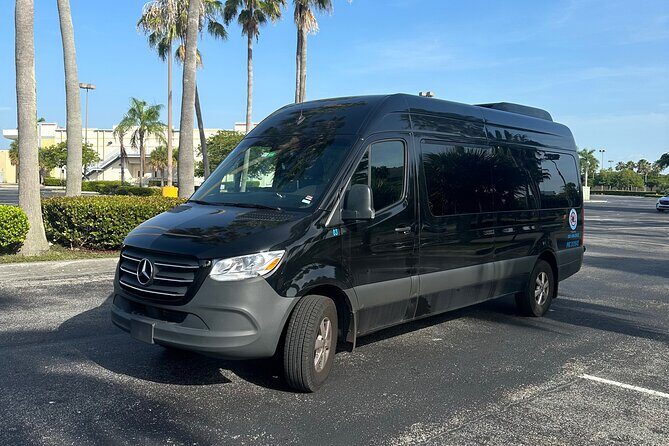 Everglades Tour from Miami with Transportation - Introduction: Why This Tour Might Be Your Best Everglades Experience
