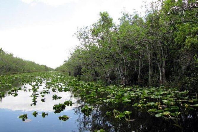 Everglades Tour in Miami - Final Thoughts