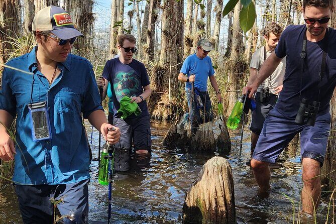 Everglades Tour w/ Biologist Led WET walk + 2 Boat Trips + Lunch! - Why This Tour Offers Great Value