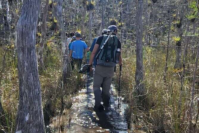 Everglades Tour w/ Biologist Led WET walk + 2 Boat Trips + Lunch! - Who Will Love This Tour?