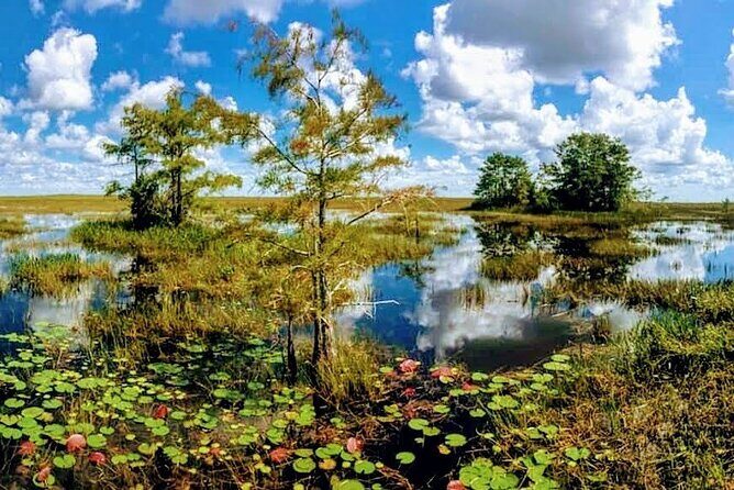 Everglades Tour w/ Biologist Led WET walk + 2 Boat Trips + Lunch! - Final Thoughts
