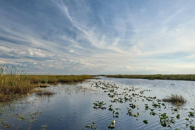 Everglades Tour w/ Biologist Led WET walk + 2 Boat Trips + Lunch! - In Closing