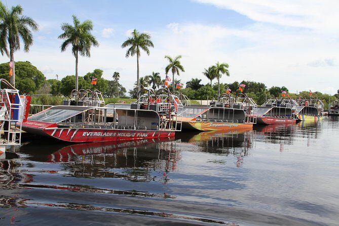 Everglades VIP Airboat Tour with Transportation Included - What to Expect from the Everglades VIP Airboat Tour