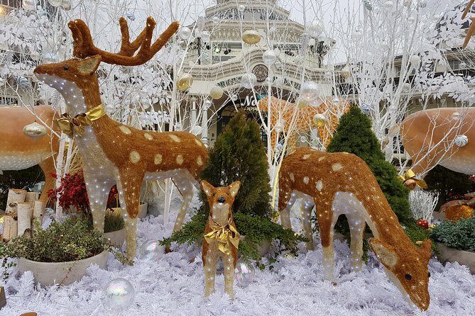 Everland Private Shuttle "Total Private Tour: More Members Less Cost" - Authentic Feedback from Travelers