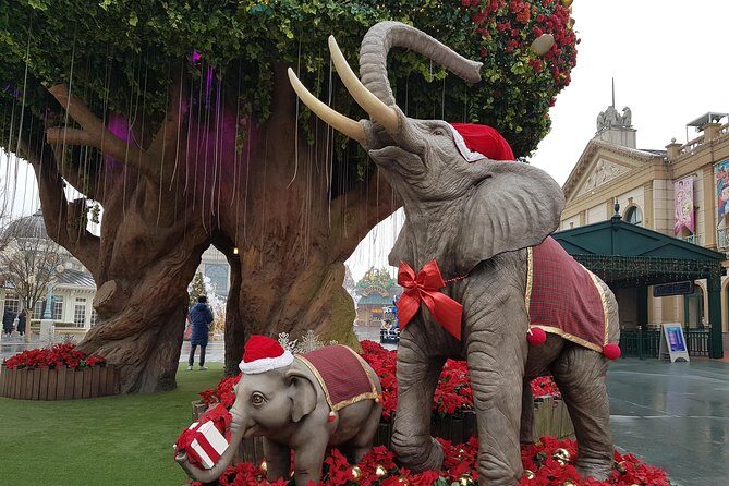 Everland Private Shuttle "Total Private Tour: More Members Less Cost" - Frequently Asked Questions