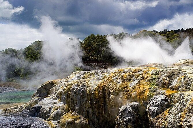 Ex Auckland: Rotorua Mori Village with Haka and Hot Springs - Who Should Consider This Tour?