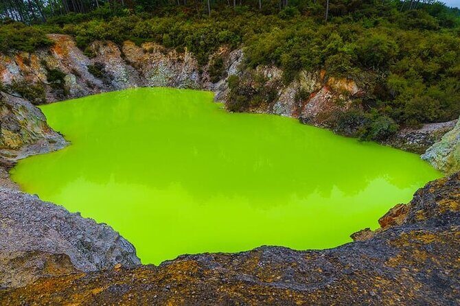 Ex Hamilton: TRIPLE DEAL Wai O Tapu, Redwood Forest & Blue Spring - A Complete Look at the Tour Experience