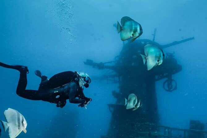 Ex- HMAS Swan Wreck Double Boat Dive - The Dive Itself: What You’ll Experience