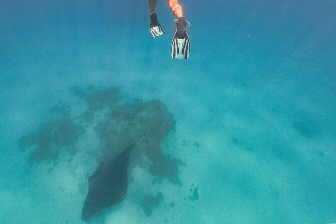 Exceptional Half Day on the Bora Bora Lagoon in Combo - Introduction