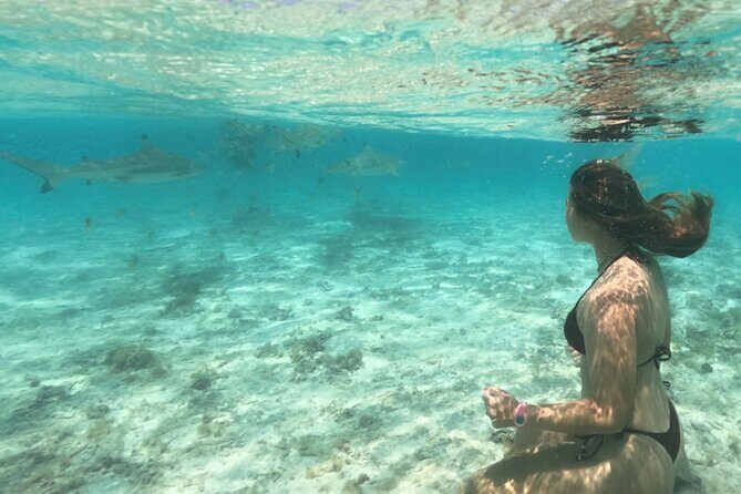 Exceptional Half Day on the Bora Bora Lagoon in Combo - The Experience in Detail