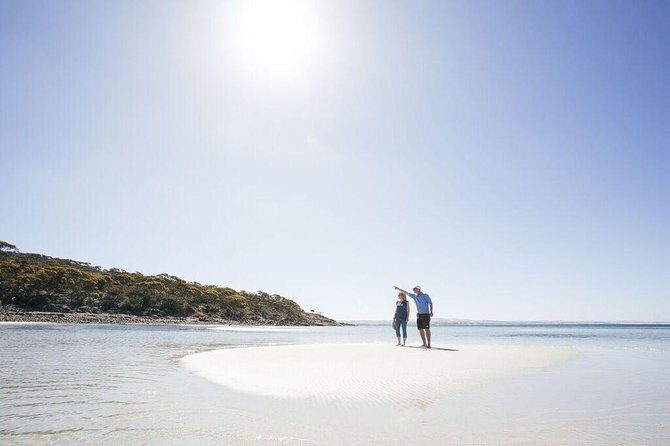 Exceptional Port Lincoln, Seafood and Wildlife Tour - An In-Depth Look at the Tours Itinerary