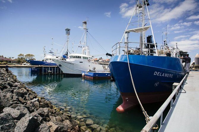 Exceptional Port Lincoln, Seafood and Wildlife Tour - Who Is This Tour Best For?