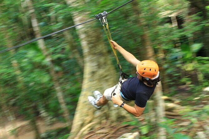 Exciting Day in the jungle of the Riviera Maya - Who Should Consider This Tour?